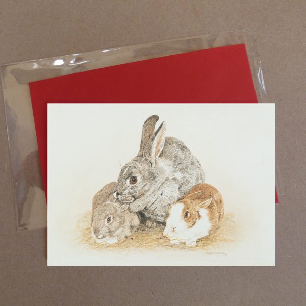 3 Rabbits Greeting Card