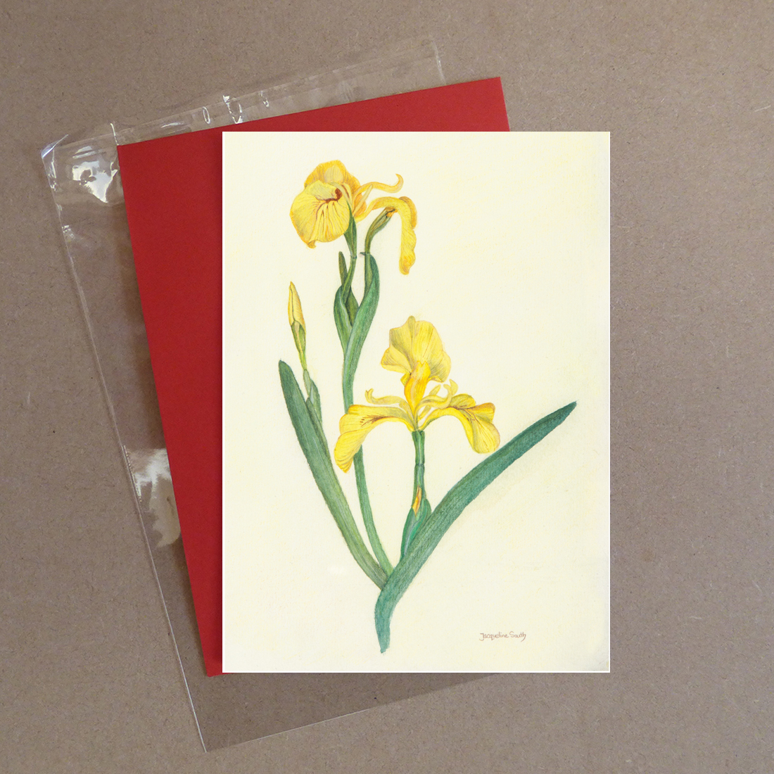 Yellow Iris Greeting Card