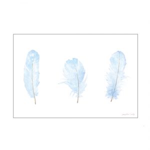 Blue feathers