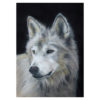 Wolf in pastel