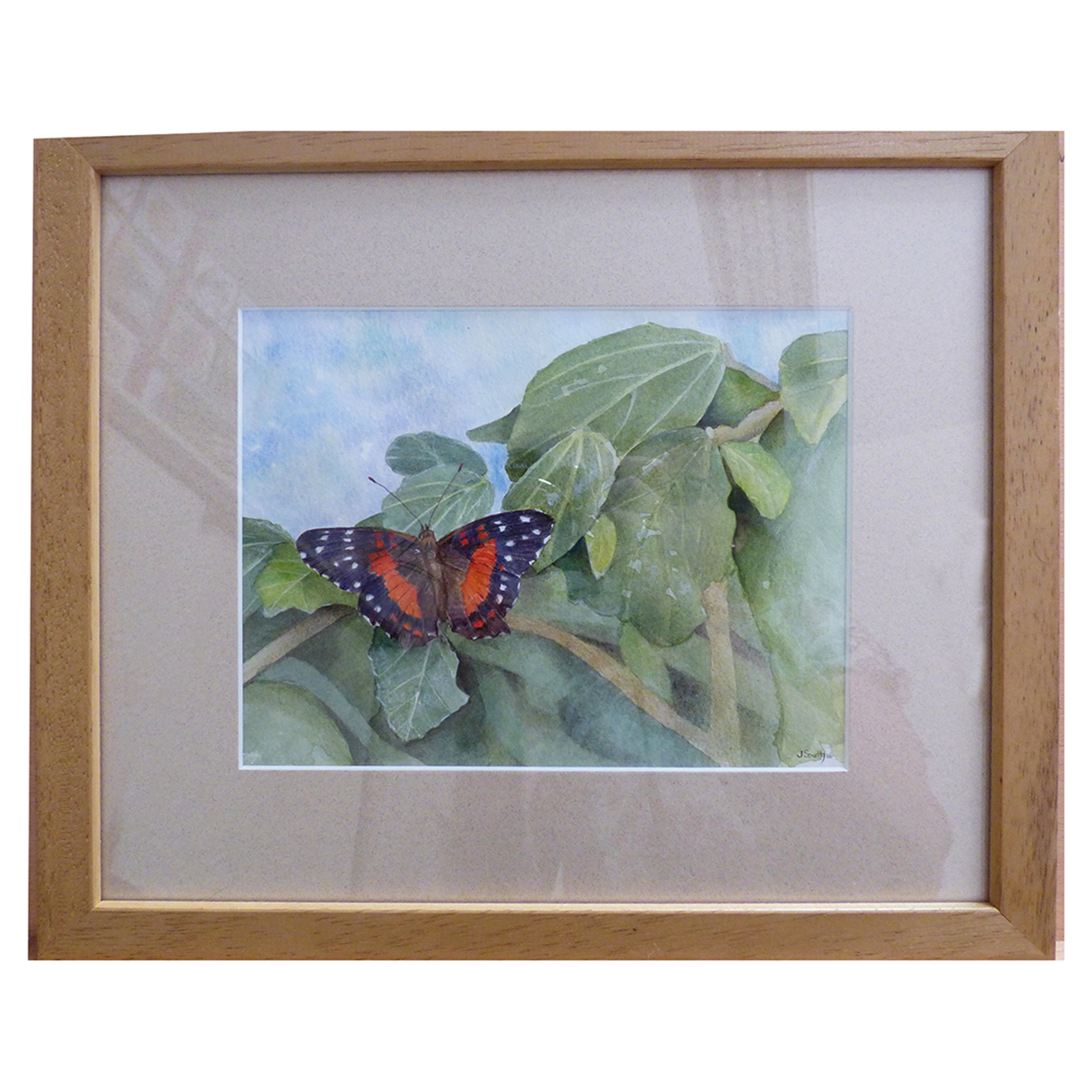 Butterfly in watercolour