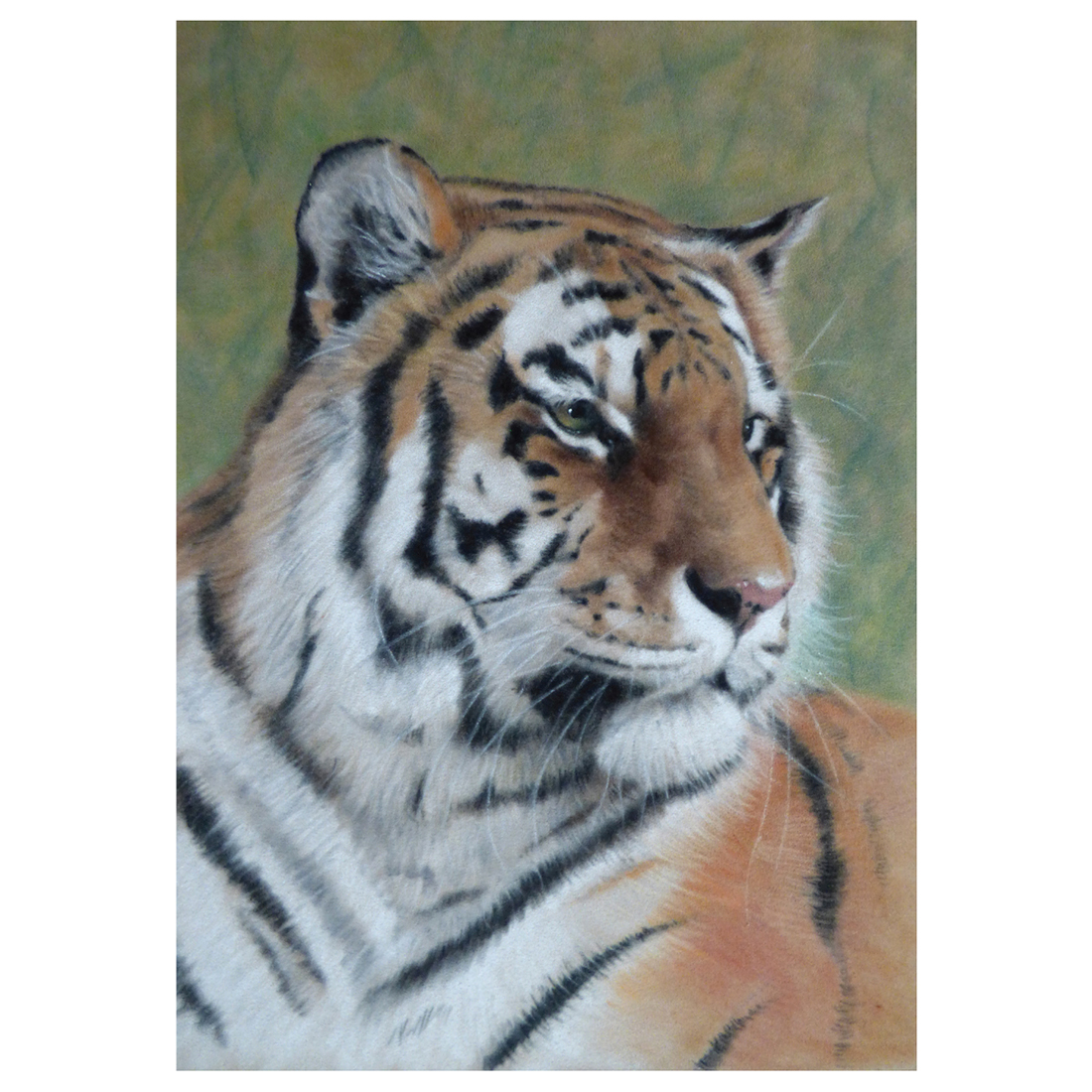 Tiger in pastel