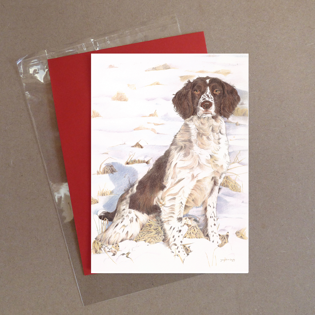 Spaniel Greeting Card