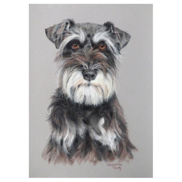 Schnauzer in pastel