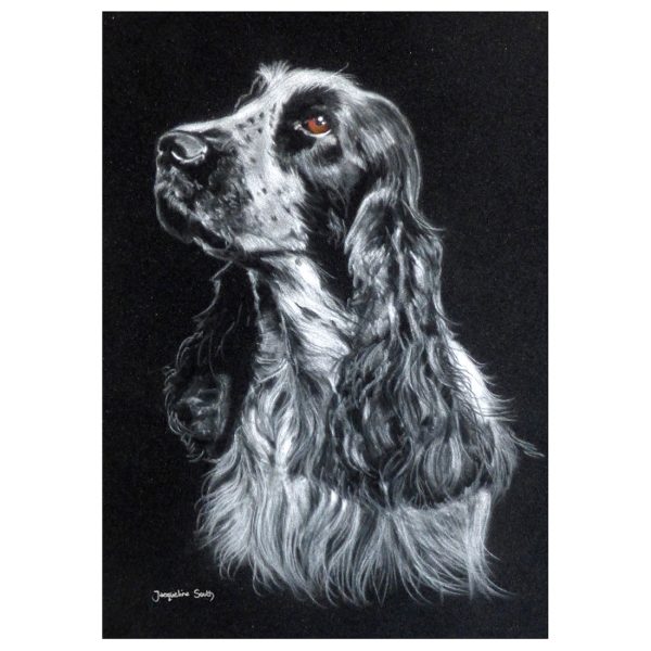 Spaniel in pastel