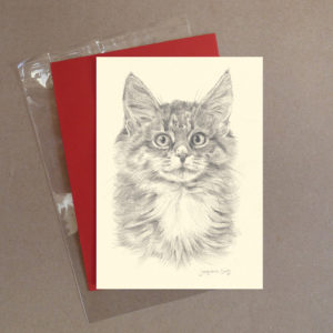 Cat Greeting Card 1