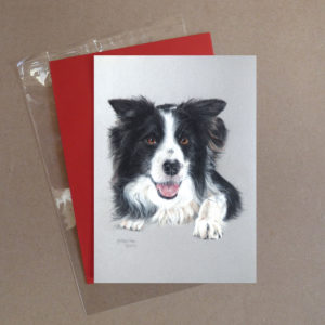 Border Collie Greeting Card