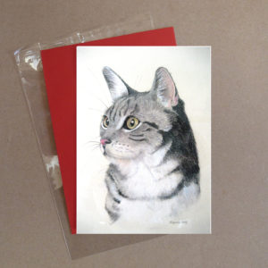 Cat Greeting Card 4