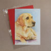 Golden Labrador Greeting Card