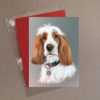 Spaniel Greeting Card 4